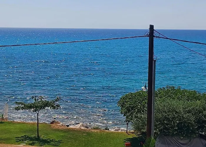 Villa Blue And White *